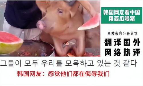 博主直播吃瓜,揭秘网红博主幕后故事