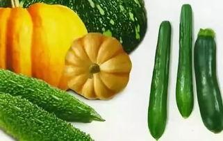 夏天吃的瓜能煮熟吃吗,煮熟也能美味可口