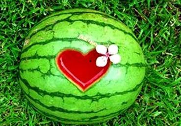 解梦满朝吃瓜,满朝吃瓜背后的神秘寓意