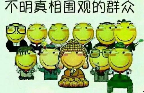 tnt加油吃瓜群众,吃瓜群众见证激情燃烧的赛事瞬间