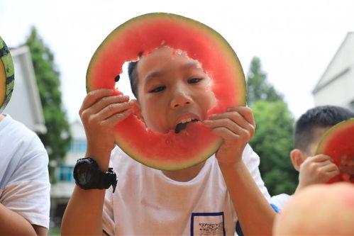 吃瓜小朋友挨打,一场关于教育与成长的反思