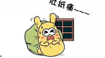 吃瓜群众的厨房,揭秘日常烹饪的趣味与智慧