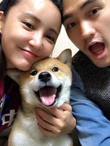 偷听吃瓜被发现,尴尬瞬间引发网友热议