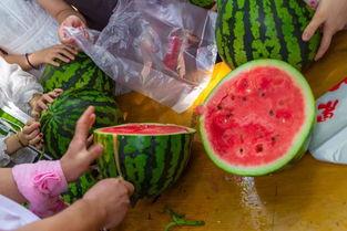 大学宿舍吃瓜视频,大学生活里的趣味瞬间