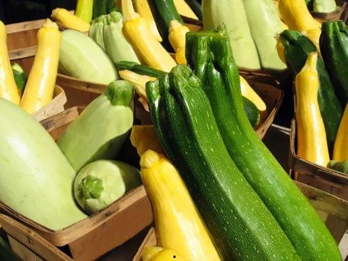 带你吃瓜无锡,跟随“带你吃瓜”探索地道的无锡风味