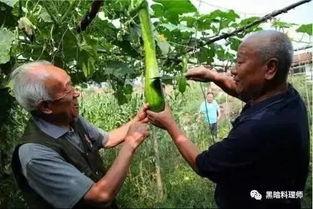 渝北吃瓜哥,揭秘重庆美食圈的那些事儿