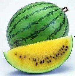 吃瓜全免费,揭秘娱乐圈幕后真相