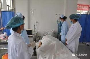 吃瓜医生跟护士,揭秘医疗界的趣味日常