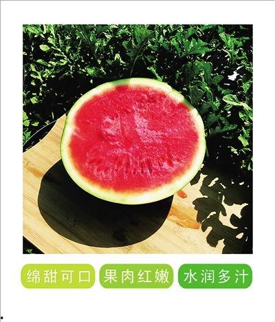 战疫吃瓜,揭秘抗疫背后的故事与幕后英雄