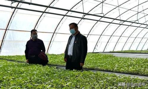 战疫吃瓜,揭秘抗疫背后的故事与幕后英雄