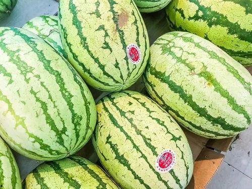 4星吃瓜,四星大瓜,明星幕后故事大曝光